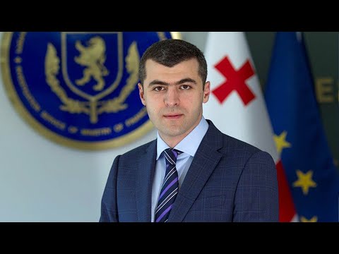 სახმელეთო ტრანსპორტის სააგენტოს დირექტორმა ერთ წელში მილიონის უძრავი ქონება დააგროვა