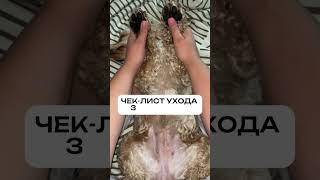 Хочешь, чтобы лапы собаки всегда были здоровыми и без трещин? #WW136773 наш воск для лап