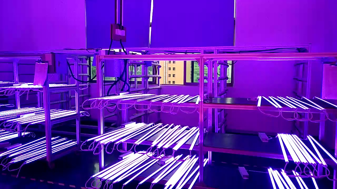 Ecospeed full spectrum led grow light bars - YouTube