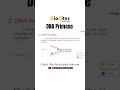 Ref:fwoGh83H7o4 Function of dna primase | dna replication #bioshorts #biovideo #biologyshorts #dnareplication #video