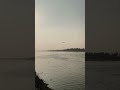 Deewana Deewana ❤️🩹🥀👀 #viral #shorts #trending #nature