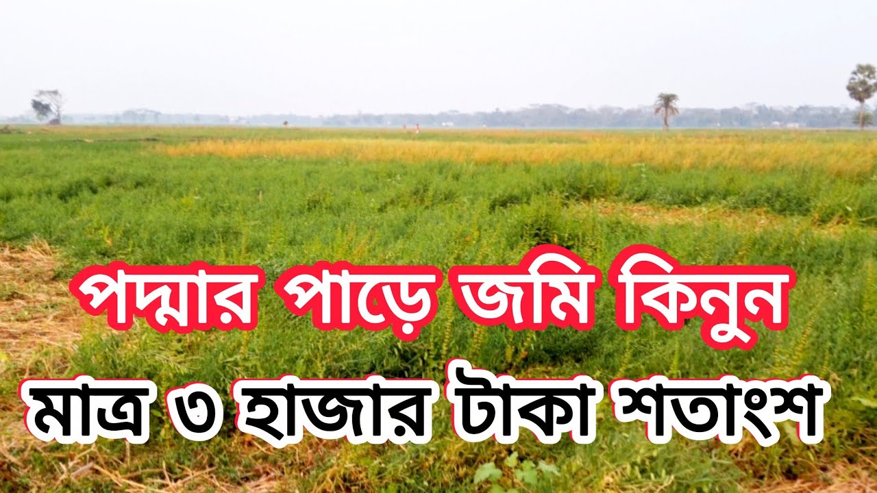 পদ্মার পাড়ে জমি কিনুন মাত্র ৩ হাজার টাকা শতাংশ  ০১৯১৯৪২৯৭২৫ 