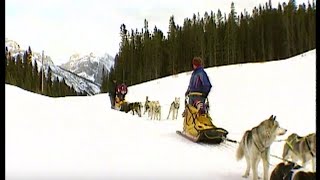 1995, Dogsled riding, Canmore, Alberta