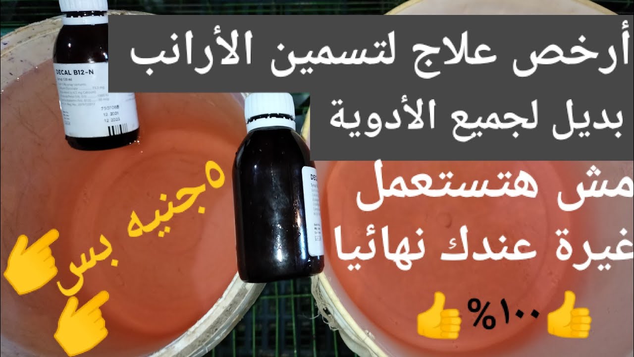 أرخص علاج لتسمين الأرانب 100% بديل لجميع أدوية الأرانب كلها مش هتستغنى عنه نهائيا لازم تجربه 👍