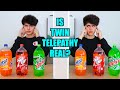 Real twin telepathy test