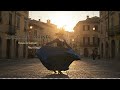 Mediterranean Harmony | Relaxing Italian Instrumentals for Soulful Moments