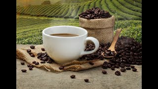 top 10 coffee producing country 1961 2018 largest coffee producing countries 1