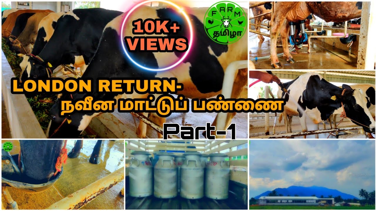 Venmai dairy-Part-1 | London return | நவீன மாட்டுப் பண்ணை சிறப்பு அம்சங்கள் |