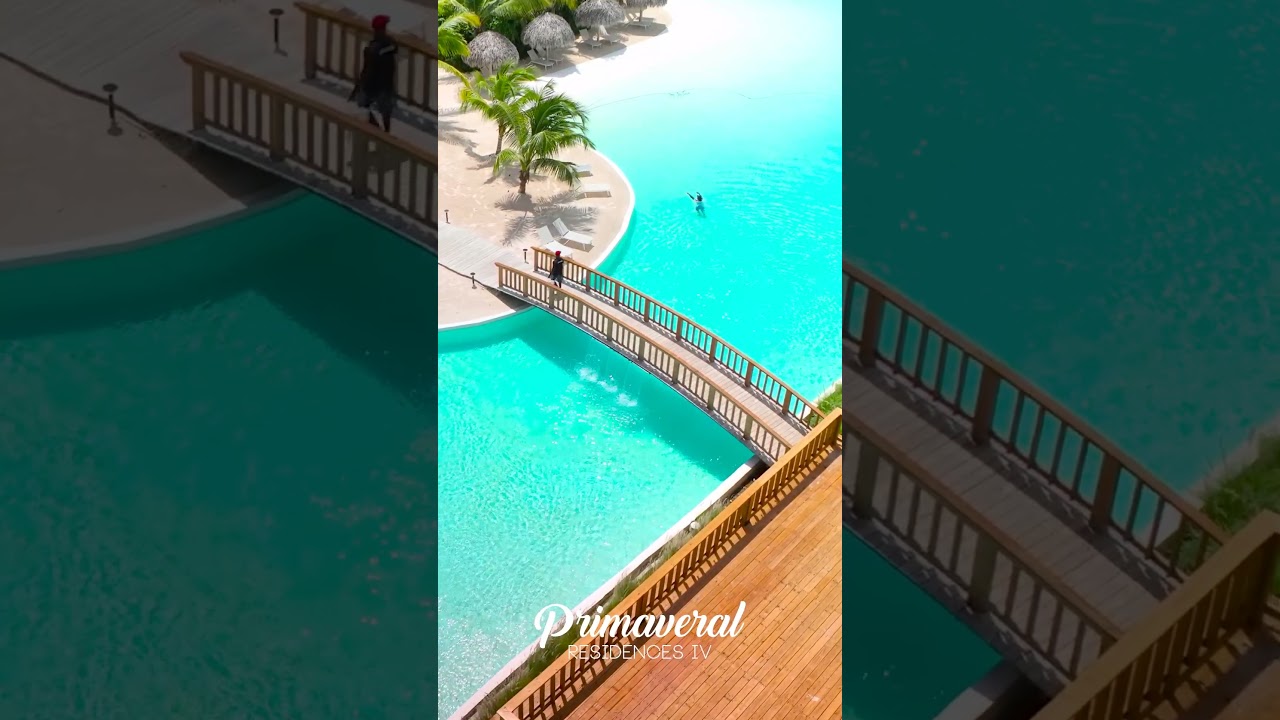 Conoce todo sobre Primaveral IV 