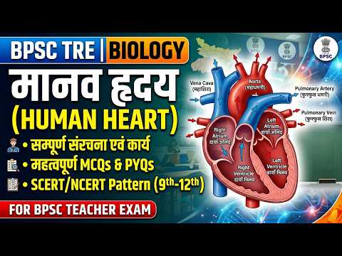 BPSC TRE | Biology Class - Nervous System | BPSC Daily Live Classes