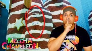 THEY'LL NEVER FIND ME HERE!! [MECCHA CHAMELEON] [HILARIOUS!!]