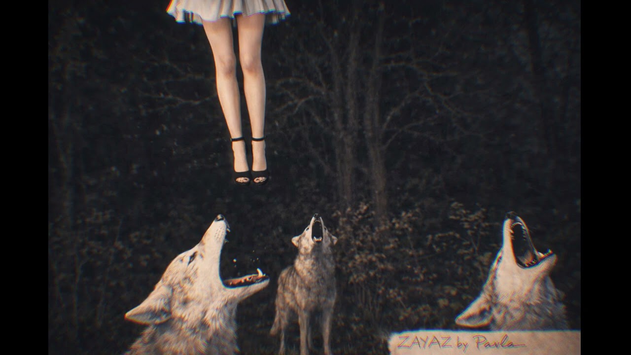 🩻 Freak On a Leash🩻  ZAYAZ 