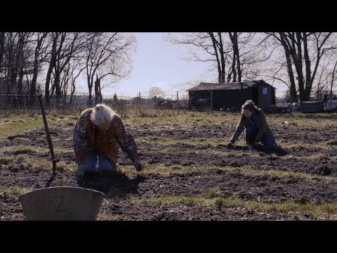 The Farmers from the Valley | Boekel | Documentaire