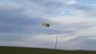Ag Cat Spraying