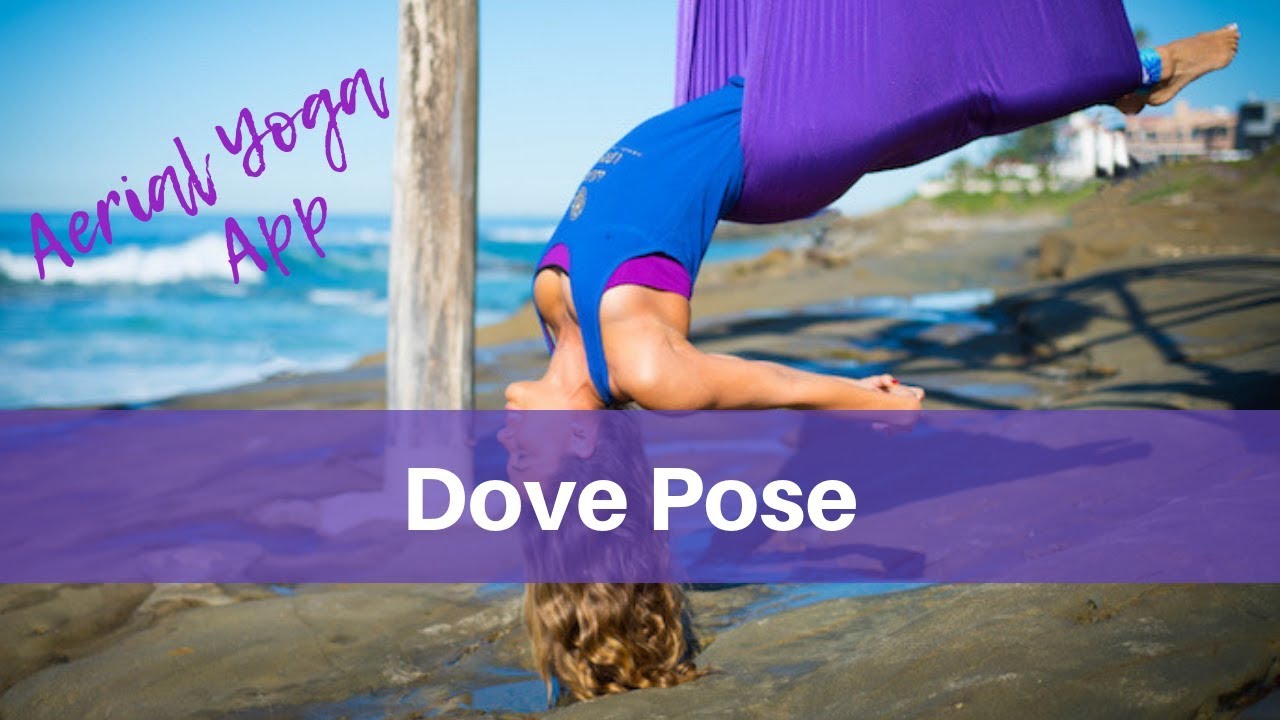 Aerial Yoga Beginner Pose: Dove - YouTube