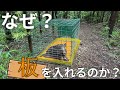 コンパネ板と電気止め刺し機を使ってイノシシ捕獲を効率的に行う！