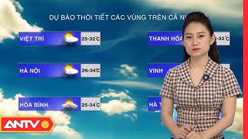 Dự báo thời tiết ngày 14/7: Bắc Bộ ngày nắng, chiều tối mưa rào | ANTV
