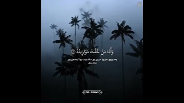 سورة القارعة | القارئ أبو أوس