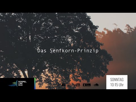 Das Senfkorn-Prinzip, Jörg Zeiller