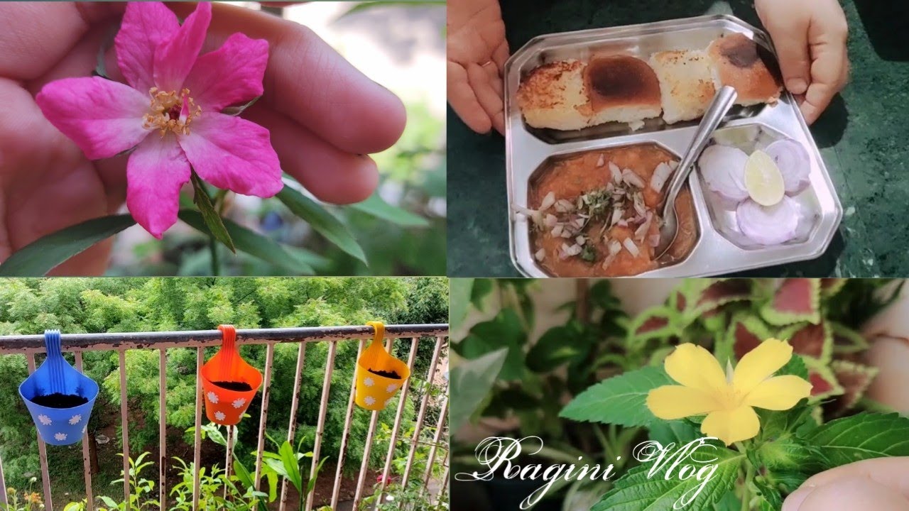 Today I Make Tasty pav Bhaji | Mango pickle |Ragini nature World