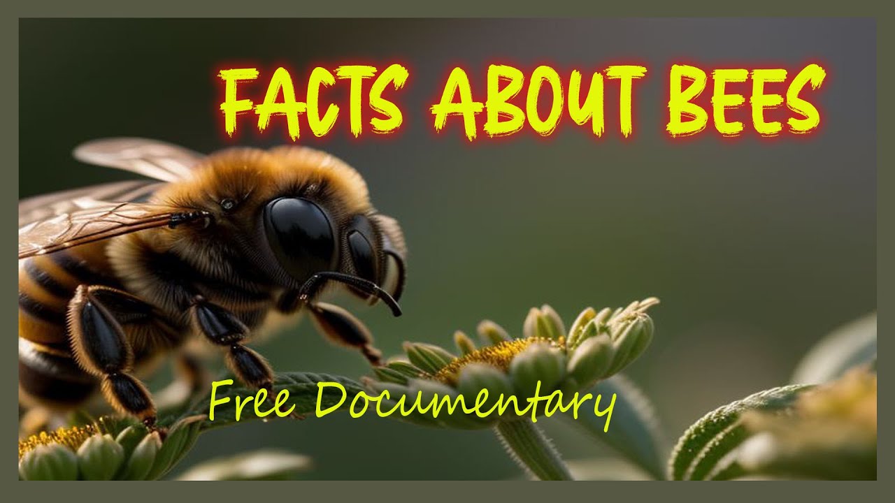 Why Are Bees Important for Pollination?