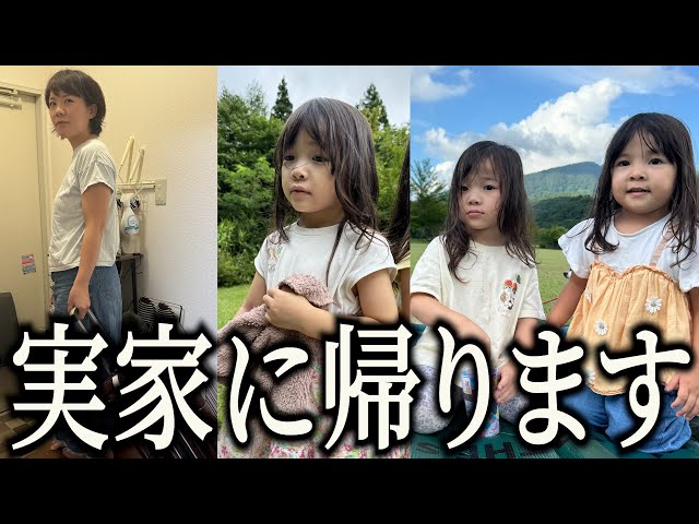 baby three 3歳 たんぽぽ ハチ 春はどこ?お花シリーズ Aomori Prefecture mother returns to her hometown with her
