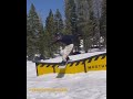 We're a fan of these clips from Max Reger 👌 Vote on his Rockstar Energy VQS at ThePlatfrm.com