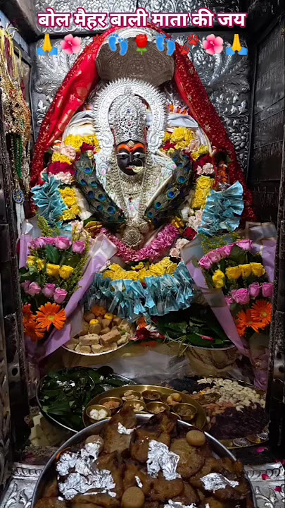 maya pirit ke dor mai dai bandhale #mehar #meharnagri #youtubeshorts #niusong #bhakti #navratri2025