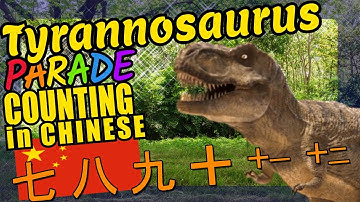 T-Rex Tyrannosaurus Rex Teaching to Count 1 to 20 in Chinese Language and Numbers Video for Kids