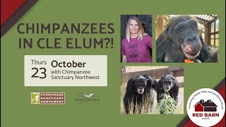 Red Barn Event - Chimpanzees in Cle Elum?!