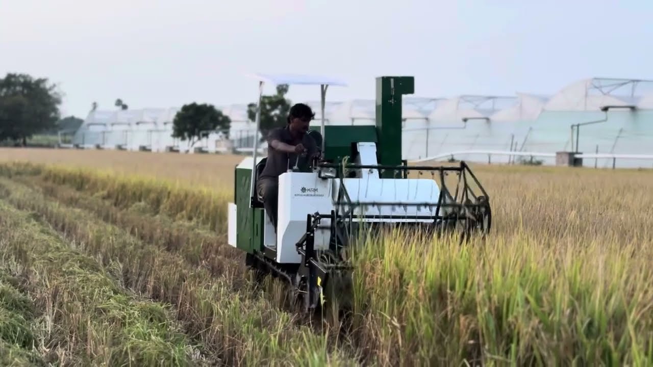 KAM Mini Combine Harvester 25HP (PADDY )