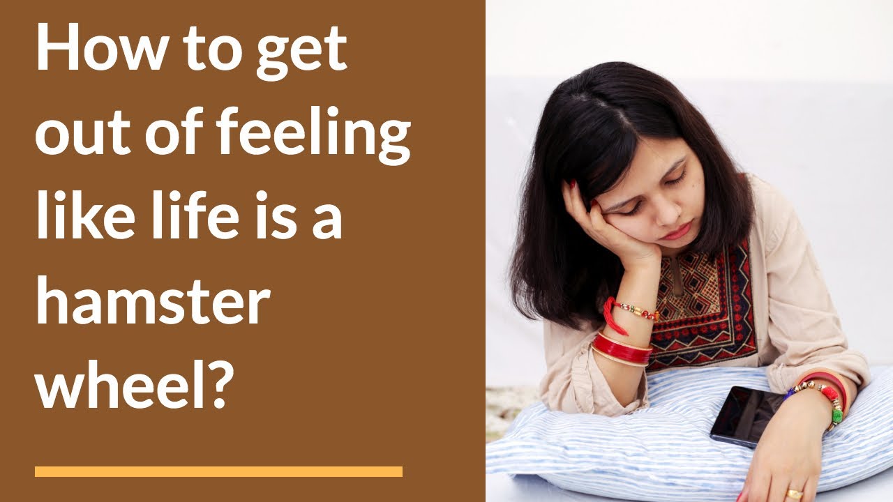 How to get out of feeling like life is a hamster wheel?