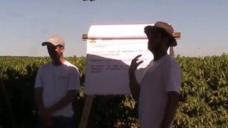 Avaliação do Controle da Broca-do-café - Felipe Santinato - Dia de Campo Assopatos 2016