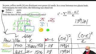 AP BIO Unit 5 - Chi square genetics