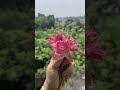 A day full of flavors #food #explore #minivlog #viral #