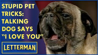 Stupid Pet Tricks: The Talking Dog Says 'I Love You' | Letterman