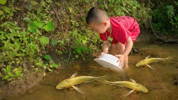 Em ổi tìm bắt cá vàng dễ thương