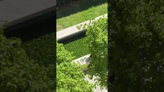 Water vibes to chill to #chill #asmr