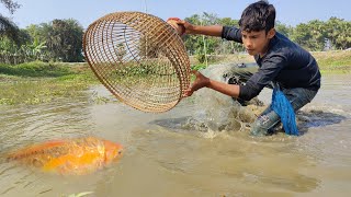 wow! amazing polo fish trap/traditional little boys hunting fish by polo from bill water