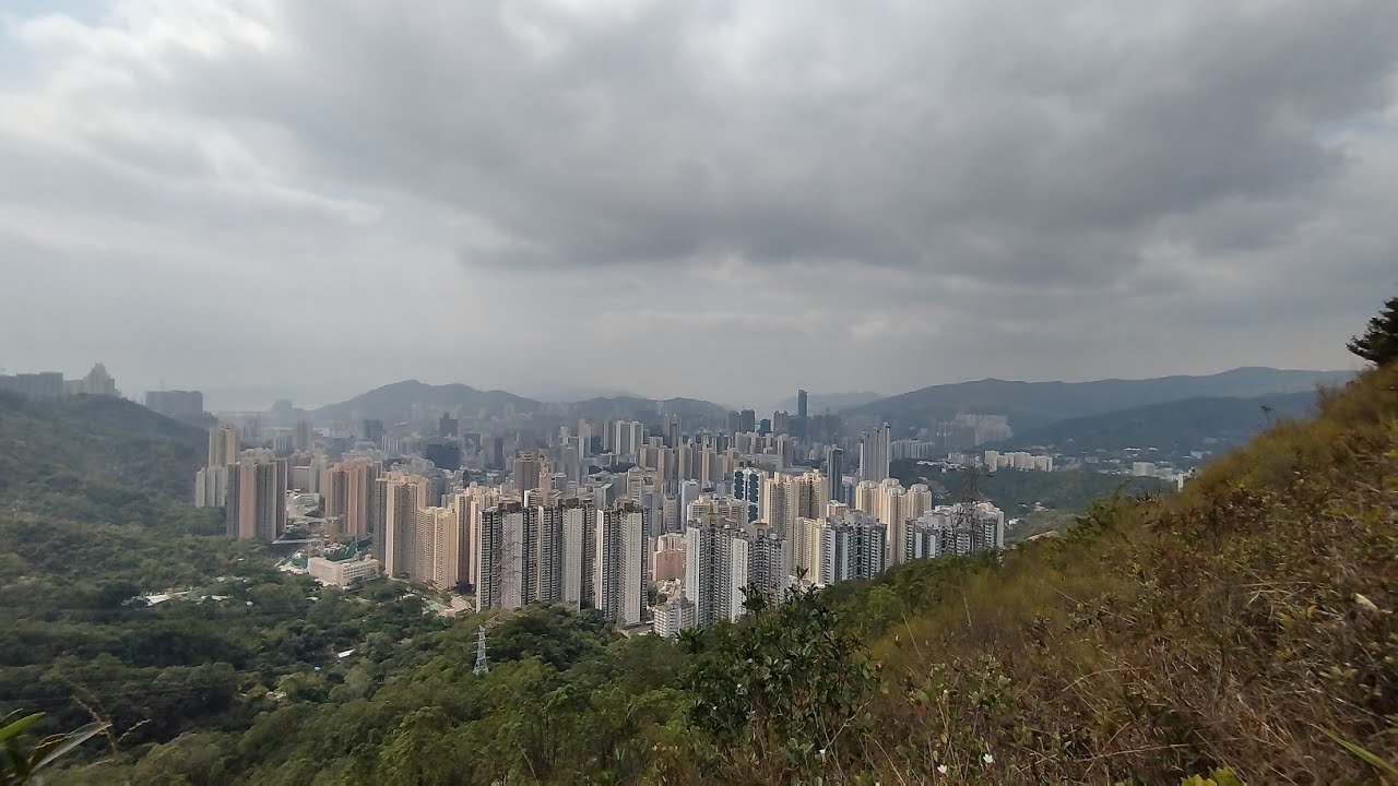 樂遊 2026.02.22 甘泉街 蝴蝶谷道 長坑路 華金徑 金山 孖指徑 城門道 梨木樹