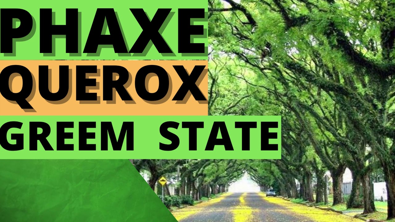 Phaxe & Querox - Green State