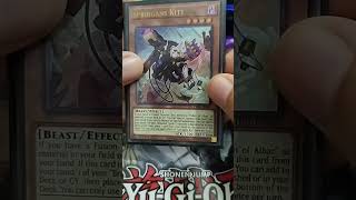 Springans Kitt #yugioh #yugiohcommunity #yugiohcards #yugiohtcg #yugiohmasterduel