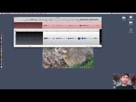 Using Twisted Wave voice recording software for voice overs