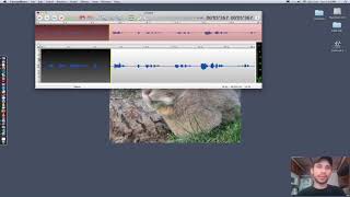Using Twisted Wave voice recording software for voice overs