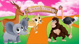Животные степи для детей / звуки животных и картина питание Животные степи для детей / звуки животных и картина питание