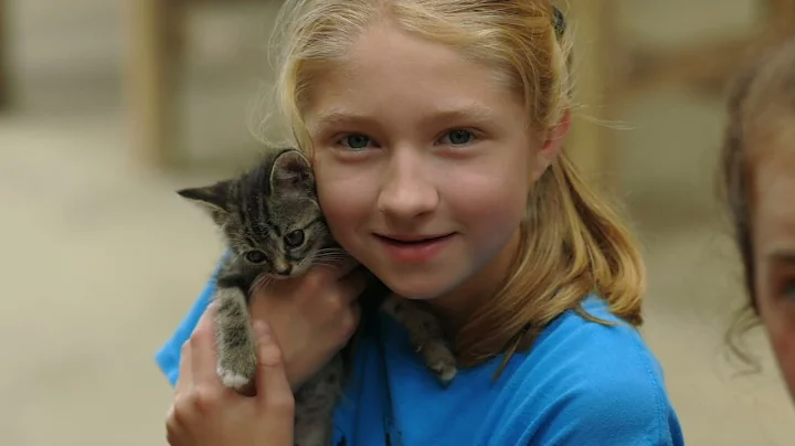 2022 Summer Camp Promo Video