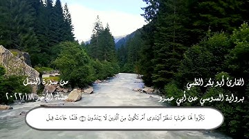 تلاوة من صلاة العشاء | برواية السوسي عن أبي عمرو | أبوبكر الظبي
