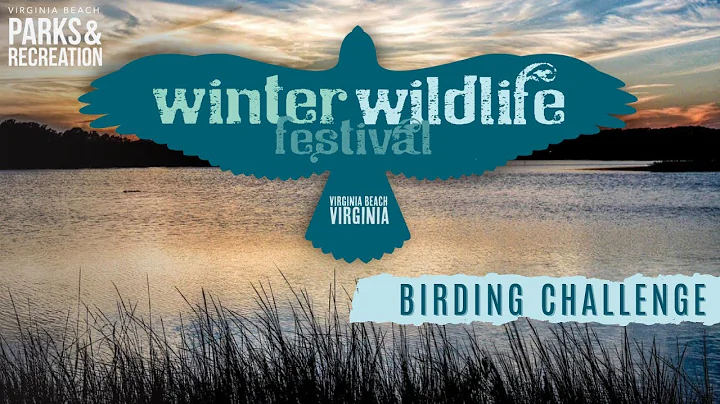 Winter Wildlife Festival: Birding Challenge