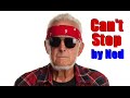 Can't Stop by Ned (Red Hot Chili Peppers Parody Song) - The Bubba the Love Sponge Show