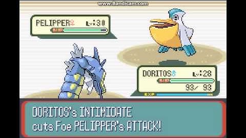 Pokémon Ruby - Feather Badge part 2 - [05]